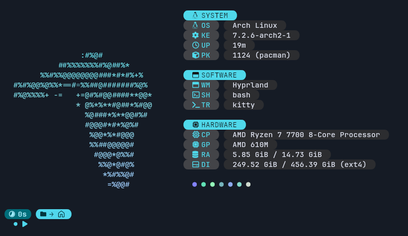 The chips info style, in a terminal