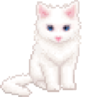 Sitting cat
